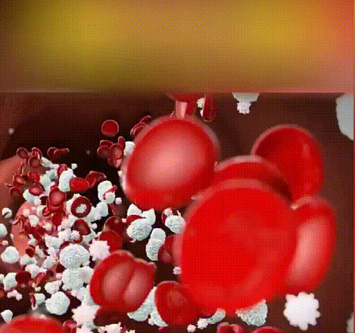 1727924655101315.gif 15.gif